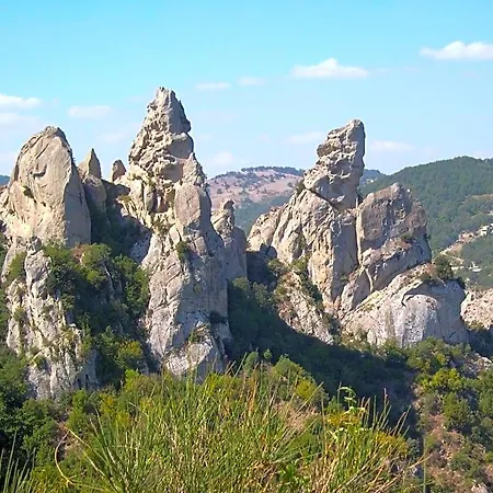 Ercole